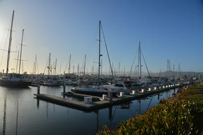 DSC_7231 (Large).JPG